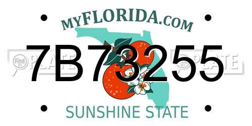 7B73255 Florida License Plate