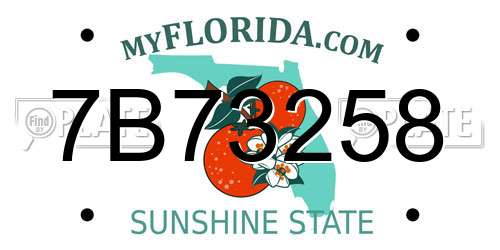 7B73258 Florida License Plate