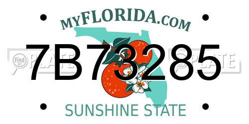 7B73285 Florida License Plate