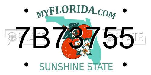 7B73755 Florida License Plate