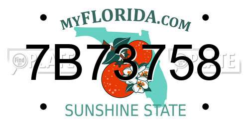 7B73758 Florida License Plate