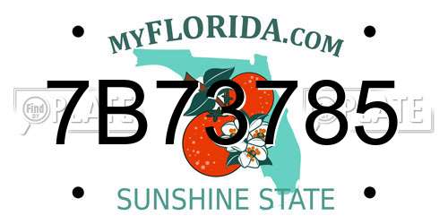 7B73785 Florida License Plate
