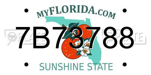 7B73788 Florida License Plate