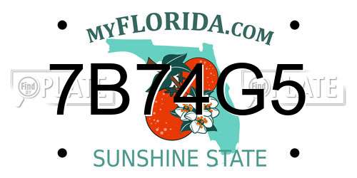 7B74G5 Florida License Plate