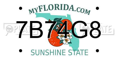 7B74G8 Florida License Plate
