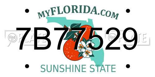 7B77529 Florida License Plate