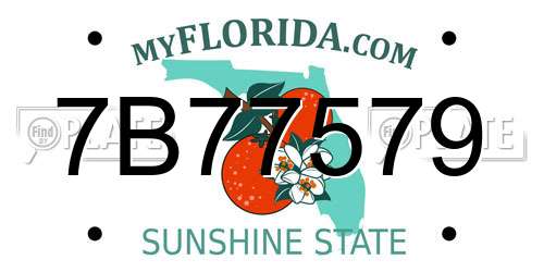 7B77579 Florida License Plate