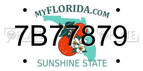 7B77879 Florida License Plate