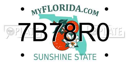 7B78R0 Florida License Plate