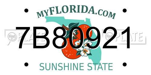 7B80921 Florida License Plate