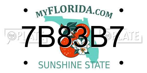 7B83B7 Florida License Plate