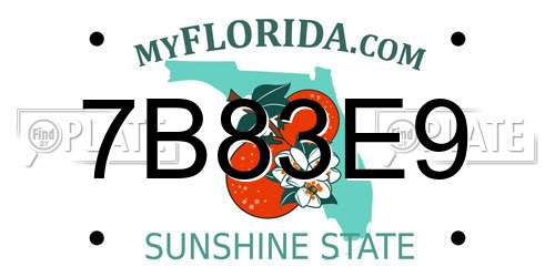 7B83E9 Florida License Plate