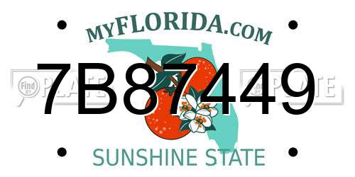 7B87449 Florida License Plate