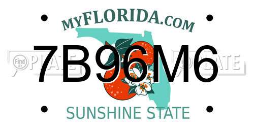 7B96M6 Florida License Plate