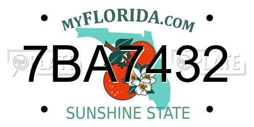 7BA7432 Florida License Plate