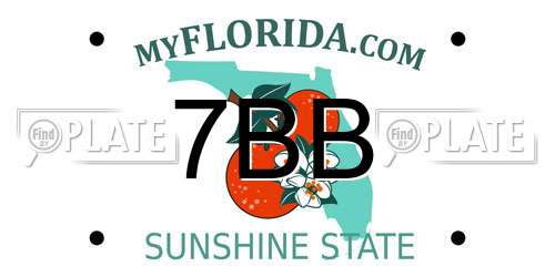 7BB Florida License Plate