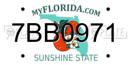 7BB0971 Florida License Plate