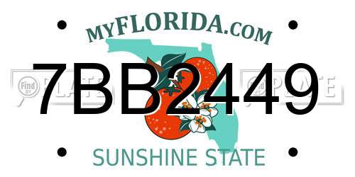 7BB2449 Florida License Plate