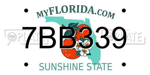 7BB339 Florida License Plate