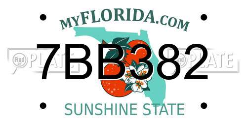 7BB382 Florida License Plate