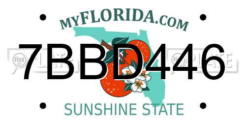 7BBD446 Florida License Plate