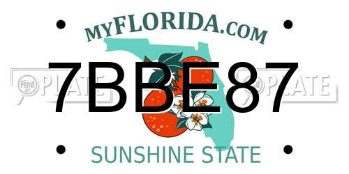 7BBE87 Florida License Plate