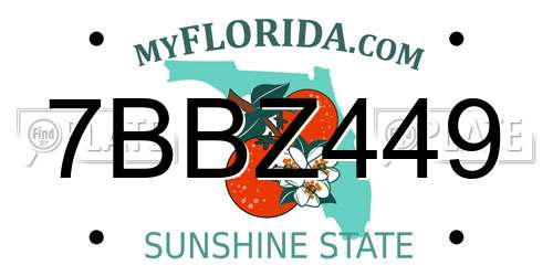 7BBZ449 Florida License Plate