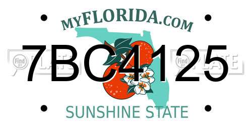 7BC4125 Florida License Plate