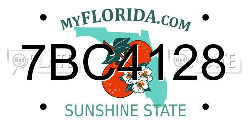 7BC4128 Florida License Plate