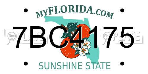 7BC4175 Florida License Plate