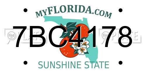 7BC4178 Florida License Plate