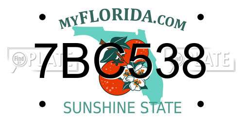7BC538 Florida License Plate