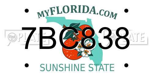7BC838 Florida License Plate