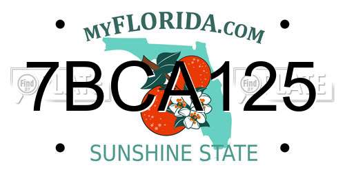 7BCA125 Florida License Plate