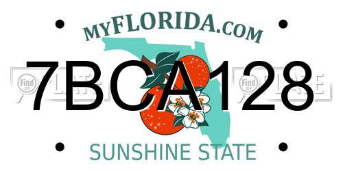 7BCA128 Florida License Plate