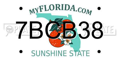 7BCB38 Florida License Plate