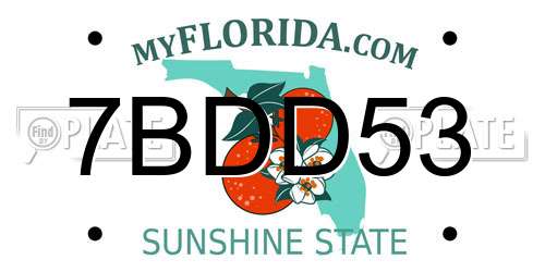 7BDD53 Florida License Plate