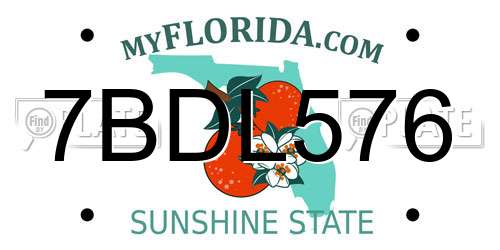 7BDL576 Florida License Plate