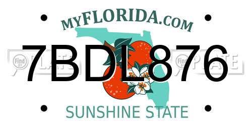 7BDL876 Florida License Plate