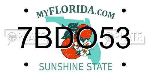 7BDO53 Florida License Plate