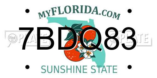 7BDQ83 Florida License Plate