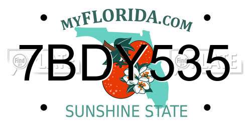 7BDY535 Florida License Plate