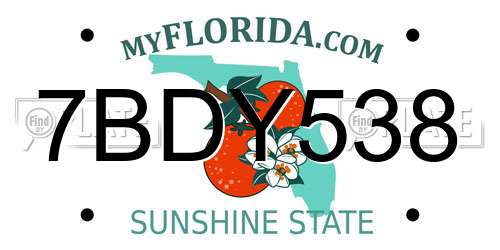 7BDY538 Florida License Plate
