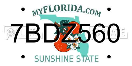 7BDZ560 Florida License Plate