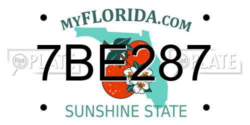 7BE287 Florida License Plate