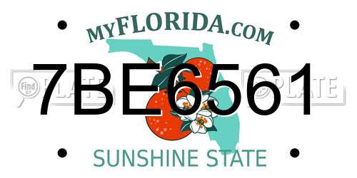 7BE6561 Florida License Plate