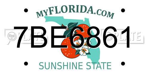 7BE6861 Florida License Plate