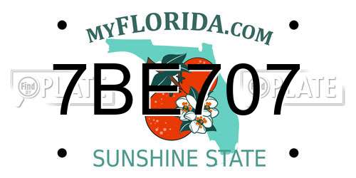 7BE707 Florida License Plate
