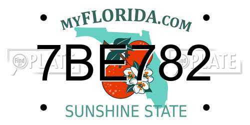 7BE782 Florida License Plate