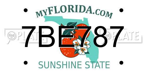 7BE787 Florida License Plate